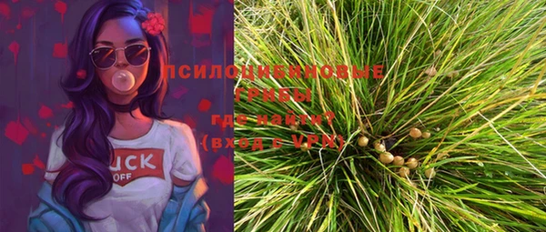 мяу мяу мука Гусев