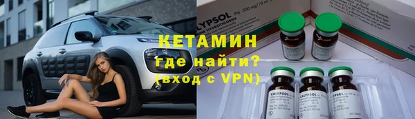 стаф Дмитровск