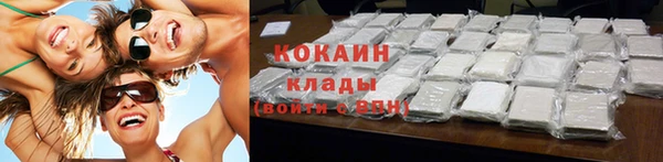стаф Дмитровск