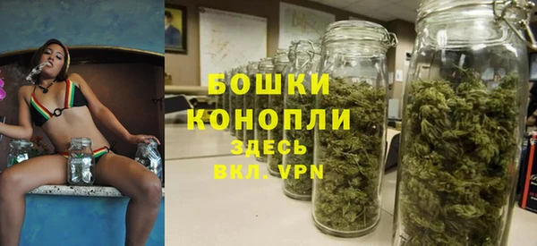стаф Дмитровск