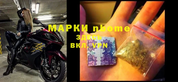 стаф Дмитровск