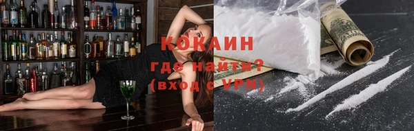 стаф Дмитровск